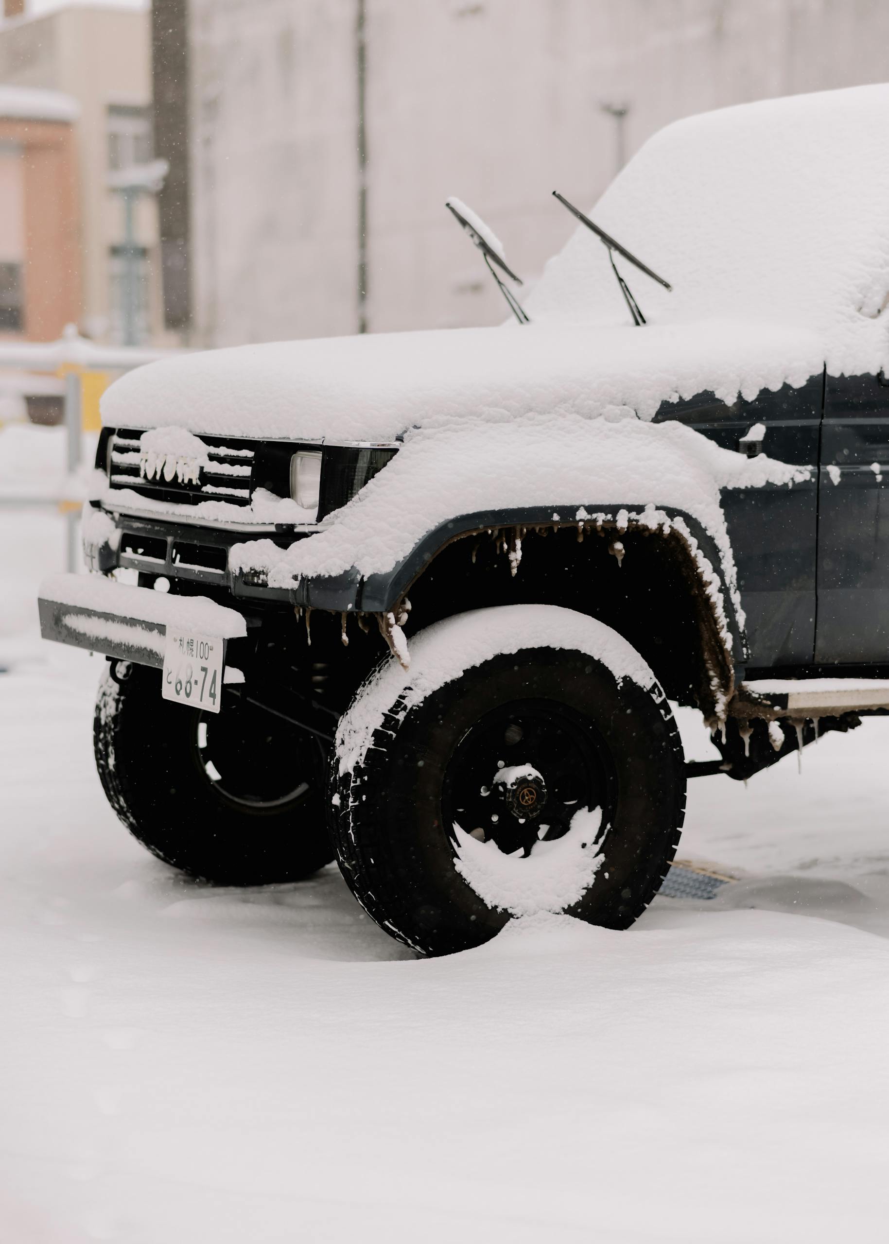 Auto winter Check
